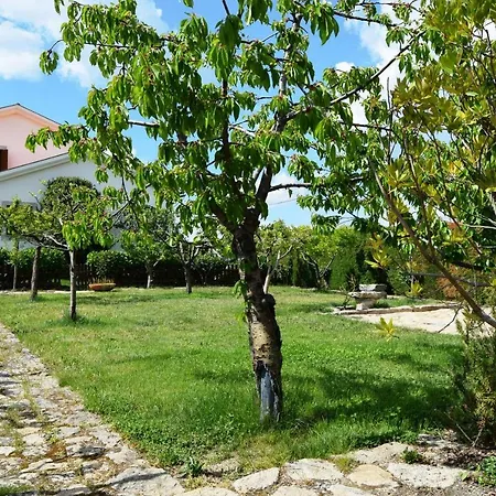 Casa Belver - Douro *