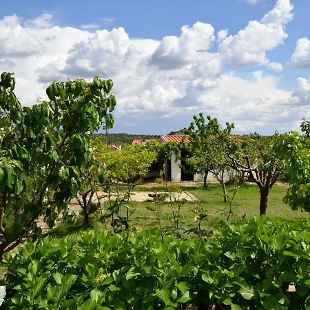 Casa Belver - Douro Prázdninový dům *