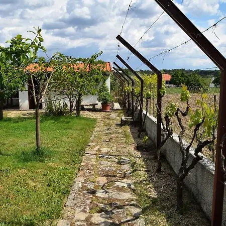 Prázdninový dům Casa Belver - Douro